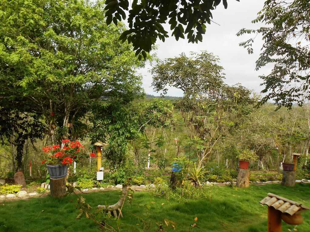 Villa Curia Монтаньита Экстерьер фото